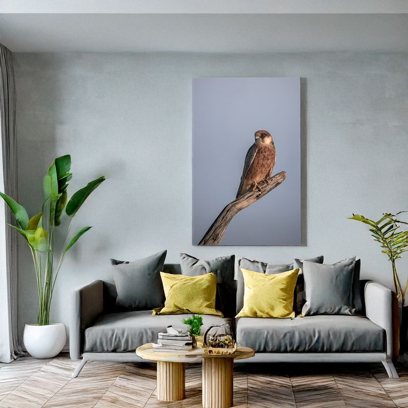 Modern living room with grey sofa, canvas of a Red-footed Falcon perched on a curved branch against blue sky.
