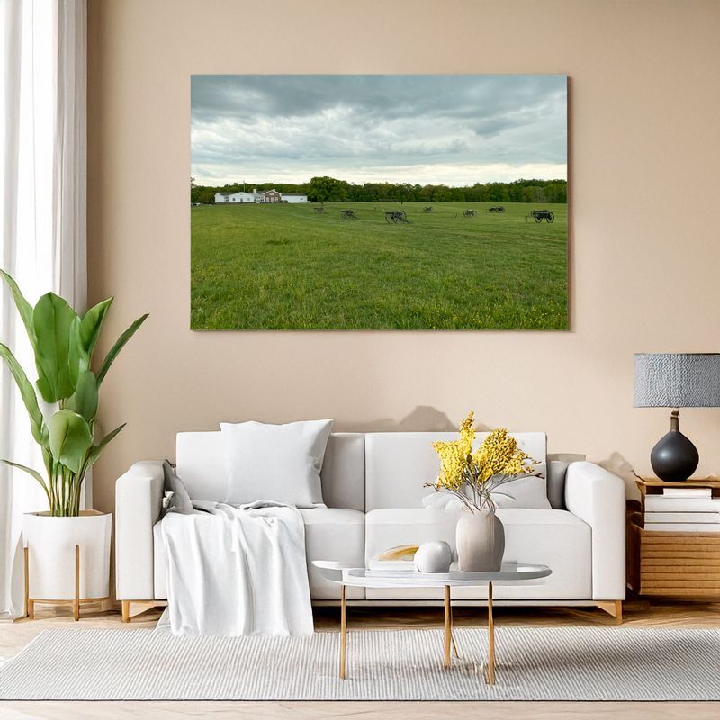 Gerahmtes Landschaftsbild mit grüner Wiese über Sofa in modernem Wohnzimmer
