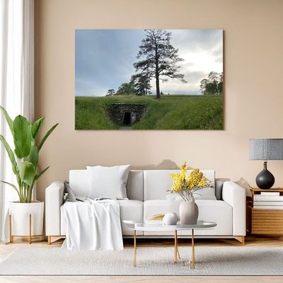 Gerahmtes Landschaftsbild mit Baum und Wiese über Sofa in modernem Wohnzimmer