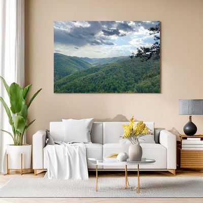 Gerahmtes Landschaftsbild mit grünen Bergen über Sofa in modernem Wohnzimmer