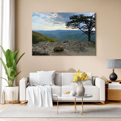 Gerahmtes Landschaftsbild mit Felsvorsprung über Sofa in modernem Wohnzimmer