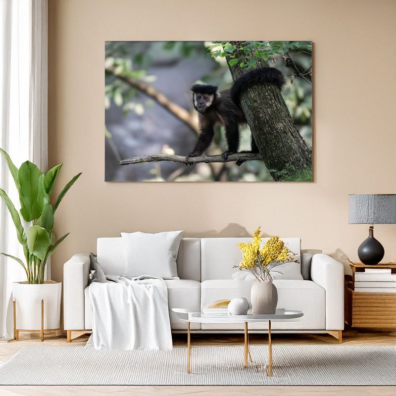 Black-horned Capuchin - Graceful Balance Wall art of a capuchin monkey balancing on a branch above a white sofa.