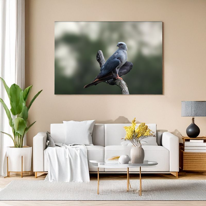 Plumbeous Kite - The Silent Watcher Wall art of a gray hawk sitting on a branch above a bright modern sofa.