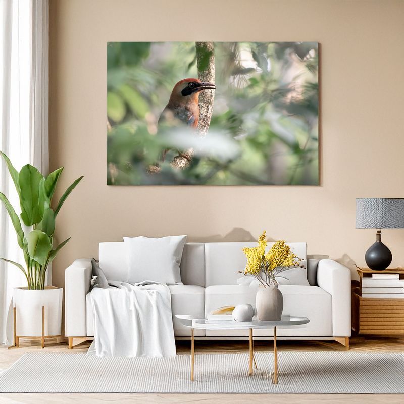 Rofous-capped Motmot - Hidden Jewel of the Forest Wall art of a colorful bird peeking through foliage over a white couch.