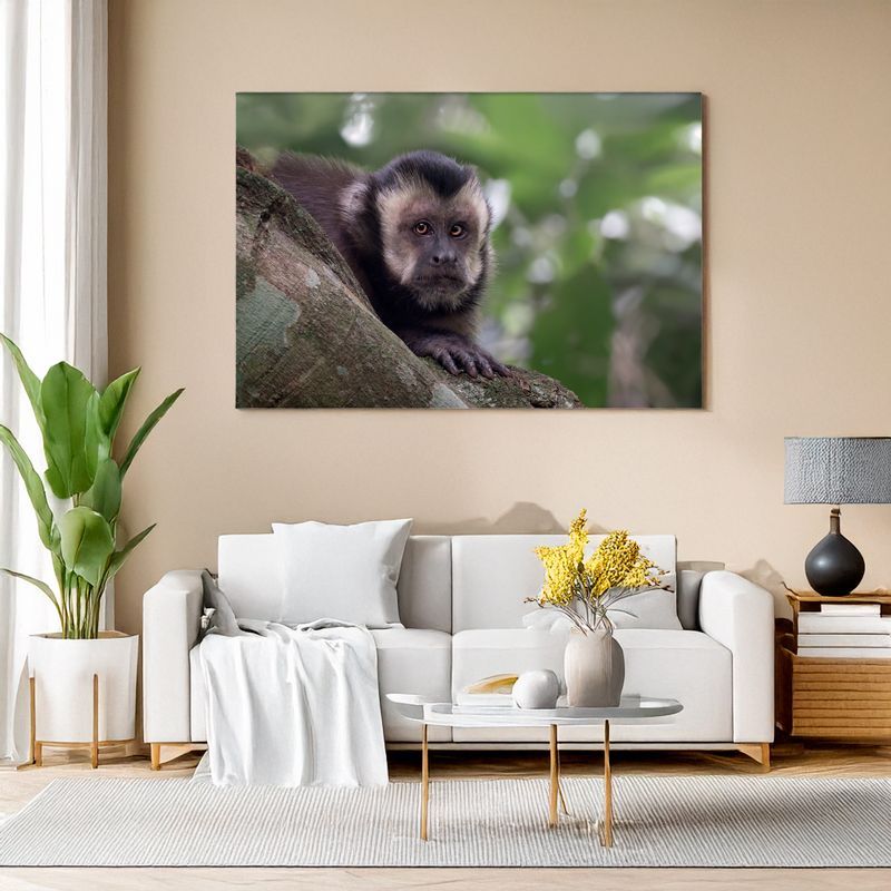 Black-horned Capuchin - Curious Soul Wall art of a capuchin monkey resting on a branch above a cozy sofa.