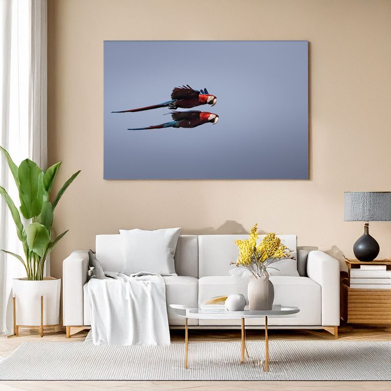 Red-and-green Macaw - Synchronized Flight Wall art of two colorful macaws in flight displayed above a white sofa.