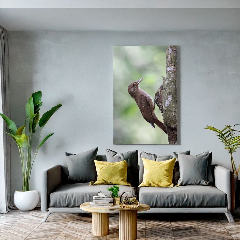 Plain-winged Woodcreeper - Silent Climber Wall art of a brown woodcreeper on a tree trunk above a bright, modern sofa.