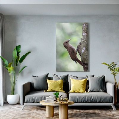 Plain-winged Woodcreeper - Silent Climber Wall art of a brown woodcreeper on a tree trunk above a bright, modern sofa.