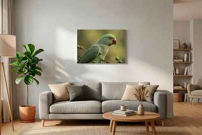 This beautiful close-up photograph captures the striking details of a rose-ringed parakeet (also known as a ring-necked parak
