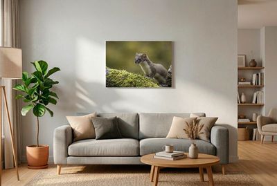 Stoat - The Morning Dew Observer In this elegant portrait, a stoat is seen perched gracefully on a fallen branch covered in thick, emerald-green moss. The ani