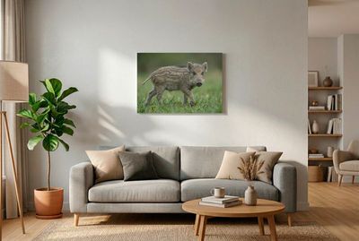 This side-profile photograph captures a young Wild Boar piglet (Sus scrofa), commonly known as a "Frischling," as it cautious