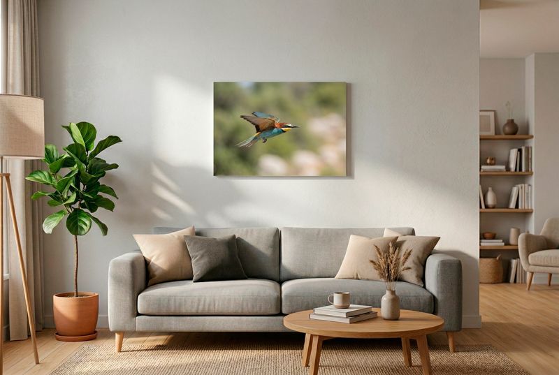 Bienenfresser im Flug mit aufgeschlagenen Flügeln, scharf vor grünem, weichem Bokeh.