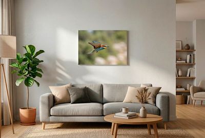 Bee-eater – Dynamic Hunter Bienenfresser im Flug mit aufgeschlagenen Flügeln, scharf vor grünem, weichem Bokeh.