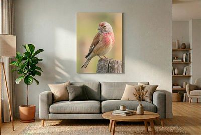 Eurasian Linnet - A Proud Gaze Nahaufnahme eines Bluthänflings von der Seite, Kopf leicht gedreht, rote Stirn und Brust im Detail, auf Holzpfahl.