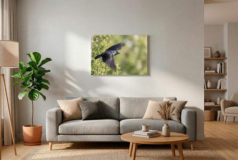 Western Jackdaw - The Takeoff Eine Dohle stößt sich kraftvoll von einem alten Baumstamm ab und fliegt nach rechts, vor weichem Grün.