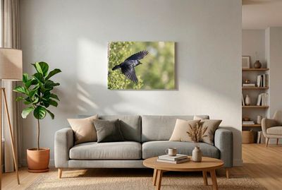 Western Jackdaw - The Takeoff Eine Dohle stößt sich kraftvoll von einem alten Baumstamm ab und fliegt nach rechts, vor weichem Grün.