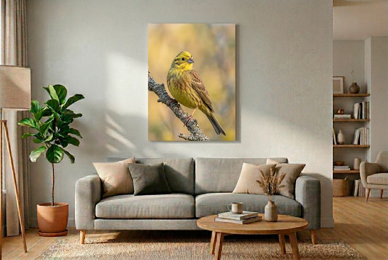Yellowhammer - The Vigilant Gaze Goldammer blickt wachsam zurück von einem bemoosten Ast, scharfes Gefieder vor unscharfem Gelb-Grün-Bokeh.