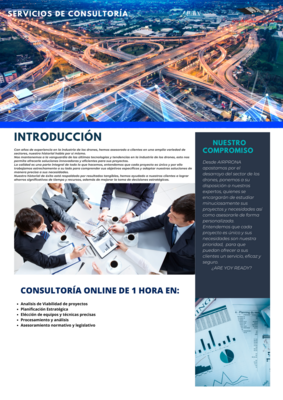 Consultoría Online de 1 hora