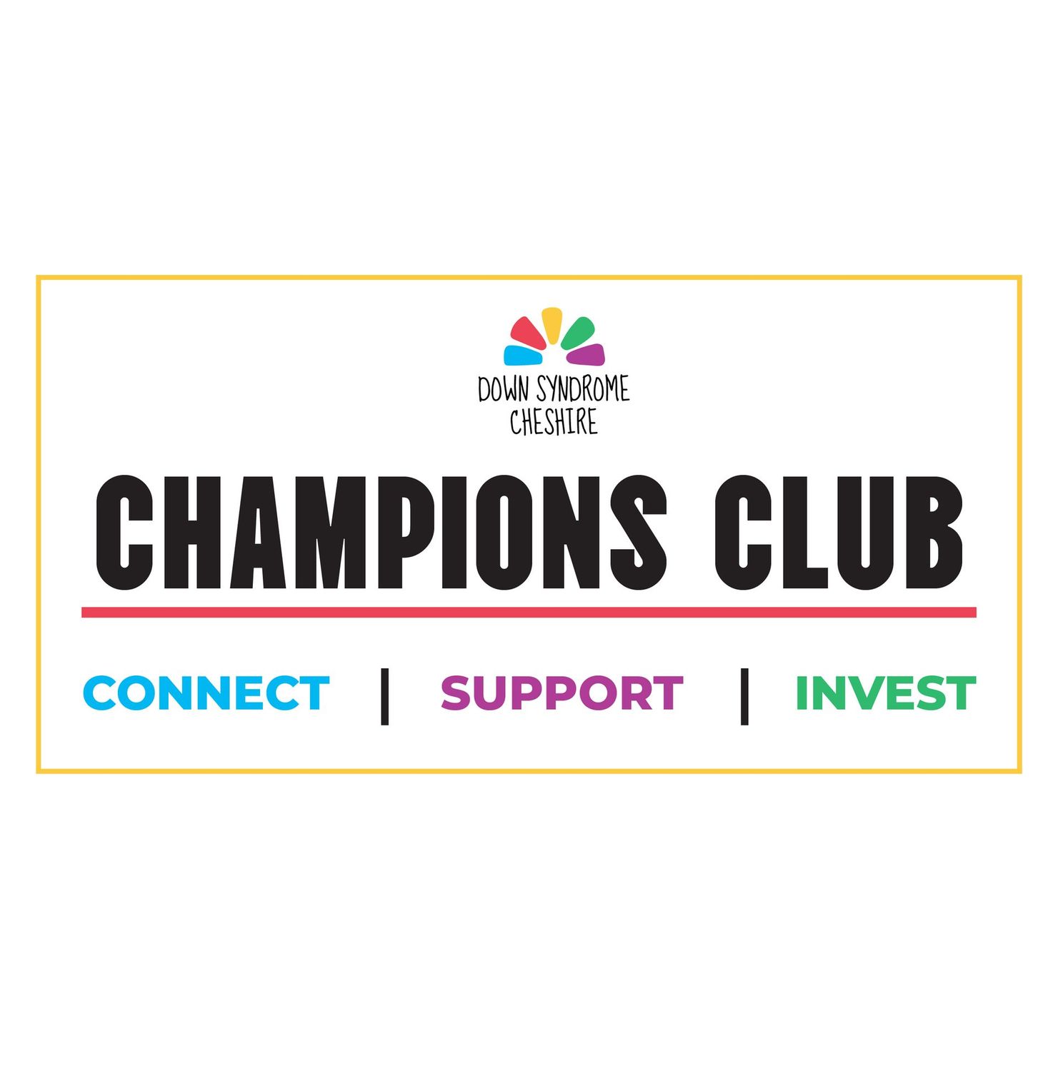 213 Business Club: BRONZE PACKAGE