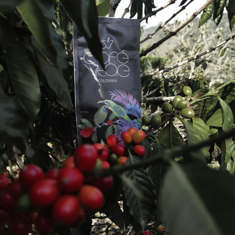 CAFÉ VIATE ESPECIAL 500gr