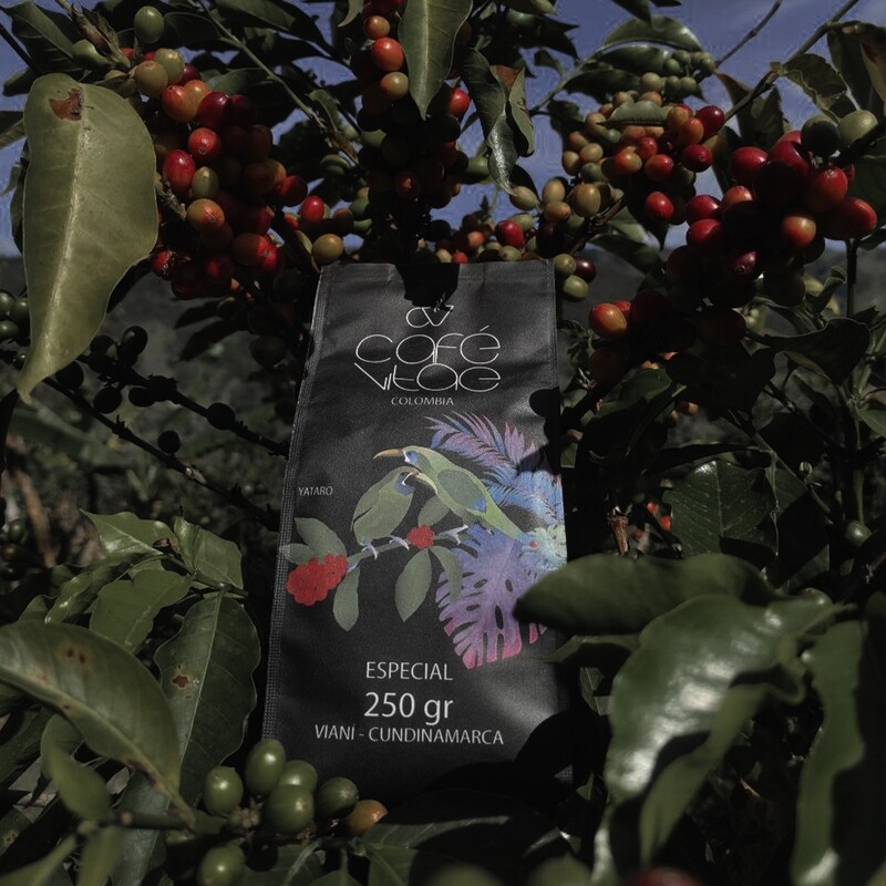 CAFÉ VITAE ESPECIAL 250 gr