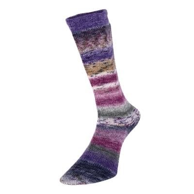 Evolution Celebration Sock with sprinkles, Colour: Q60204 Grape