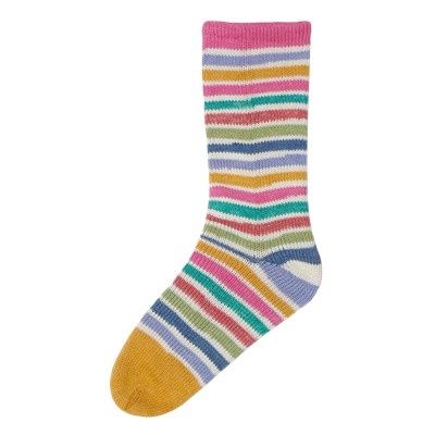 Evolution Cotton Sock, Colour: Q60401 Tulip