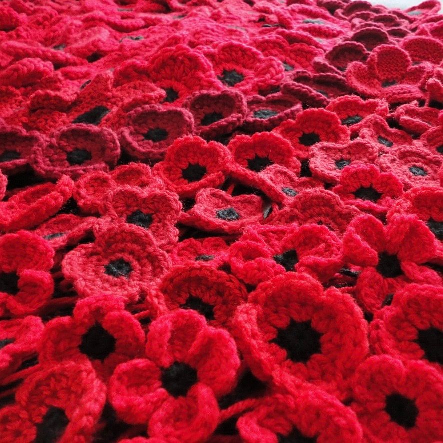 Learn how to Crochet a Poppy with Donna: 2 hours