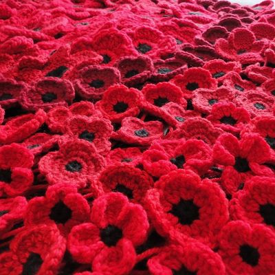 Learn how to Crochet a Poppy with Donna: 2 hours