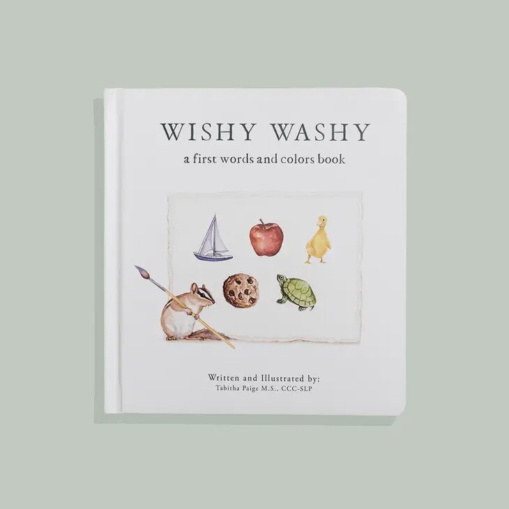 Wishy Washy Book