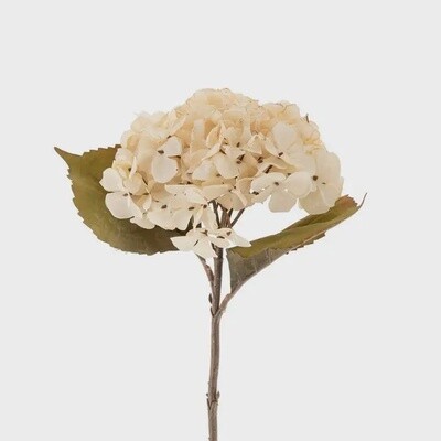 Hydrangea Floral Stem