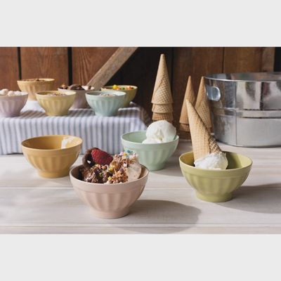 Ice Cream Bowls Set of 4