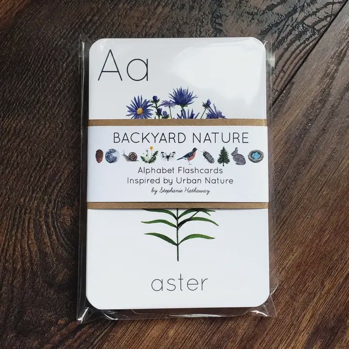 Backyard Nature Alphabet Flashcards