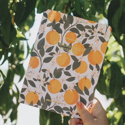 Oranges Notebook