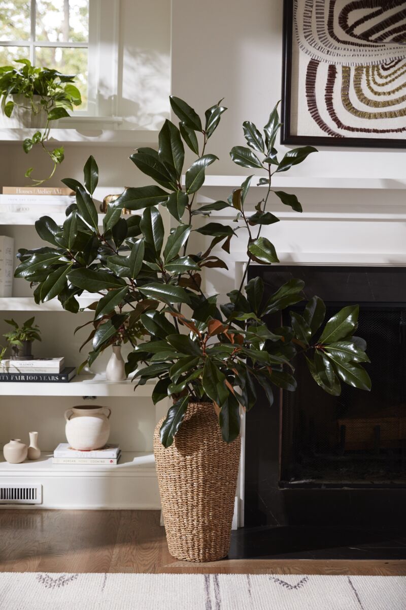 Sea Grass Vase