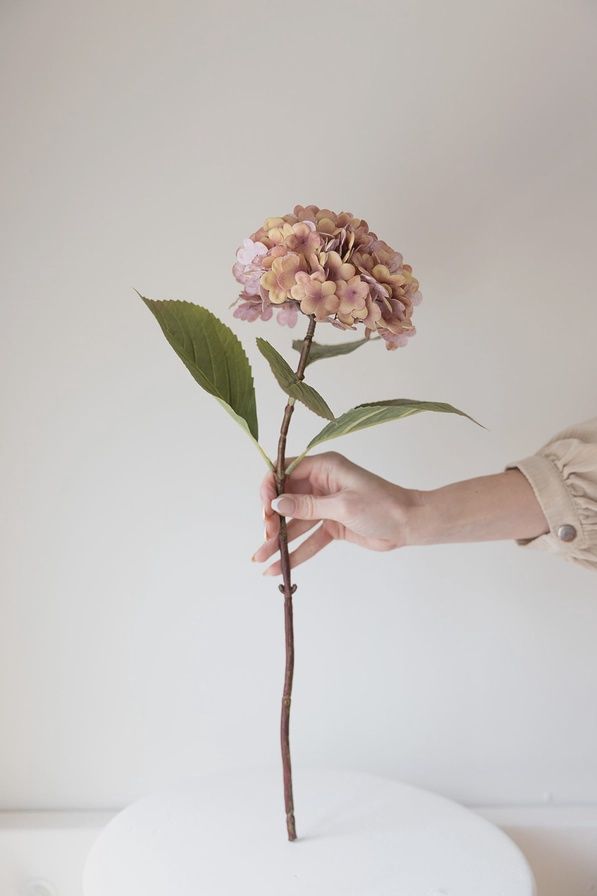 Dusty Rose Hydrangea Stem