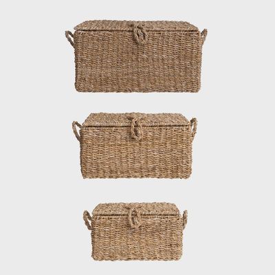 Hand-Woven Seagrass &amp; Wire Framed Trunks