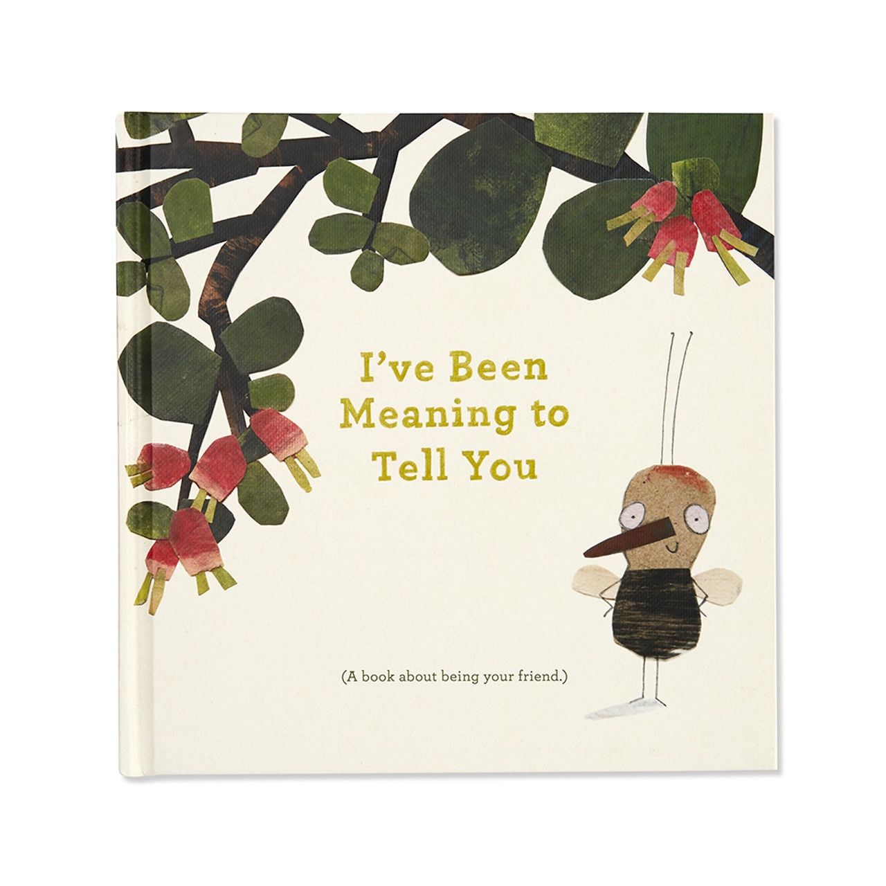 I’ve Been Meaning to Tell You Book