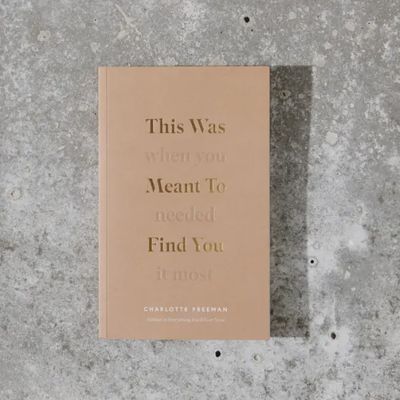 This Was Meant To Find You- Book
