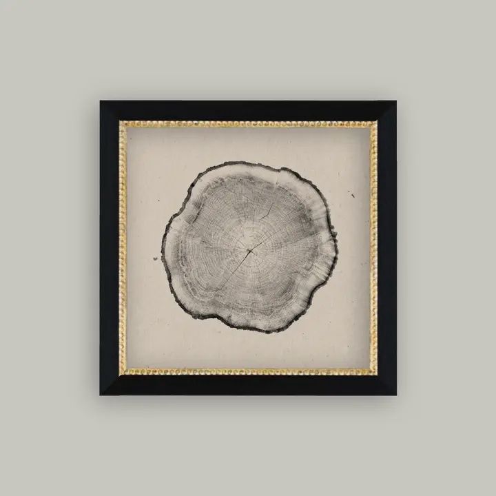 Tree Stump Framed Antique Art