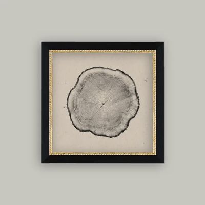 Tree Stump Framed Antique Art