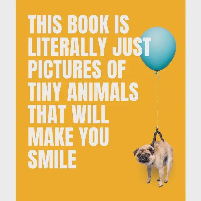 Pictures Tiny Animals Smile