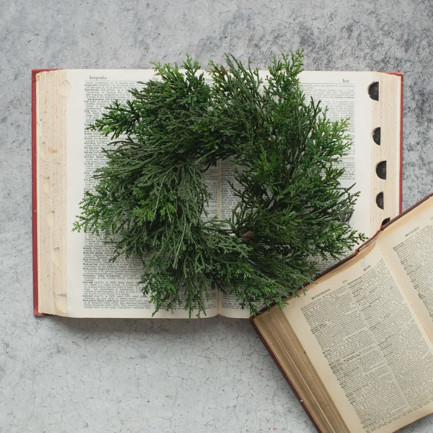 10&quot; Cedar Wreath