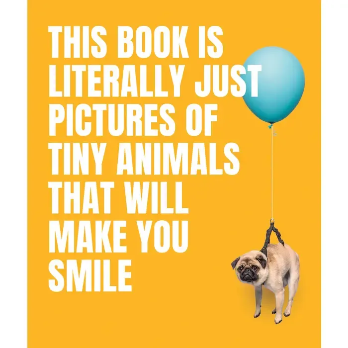 Pictures Tiny Animals Smile