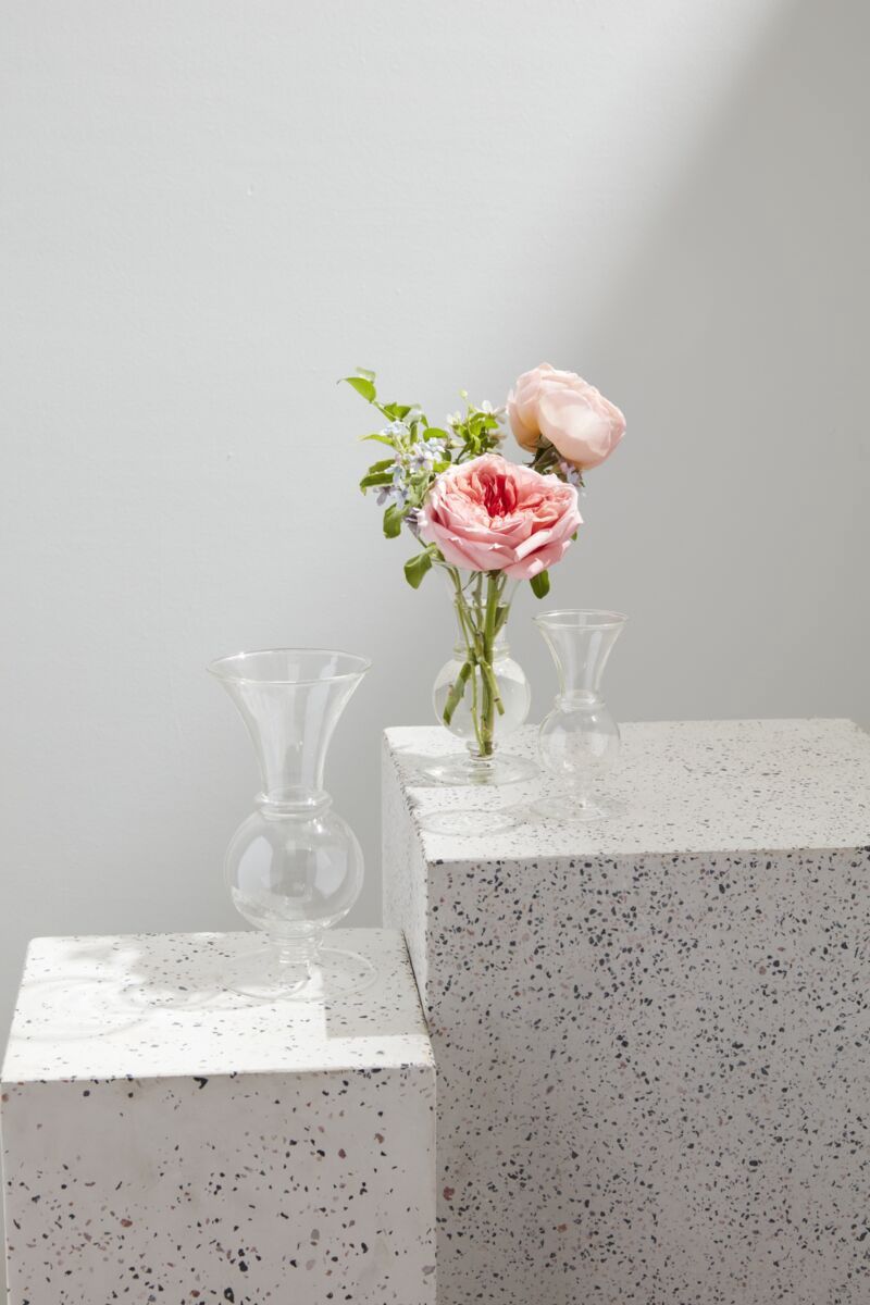 Clear Queensland Budvase
