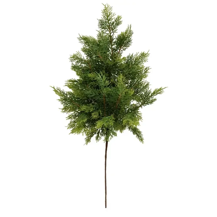Weeping Cedar Spray