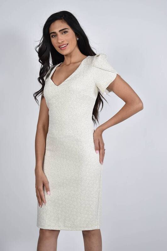 Frank Lyman Champagne Dress