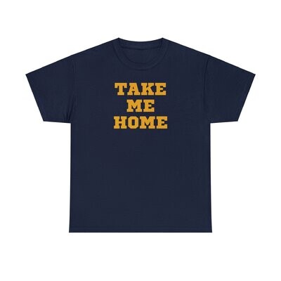 Take Me Home