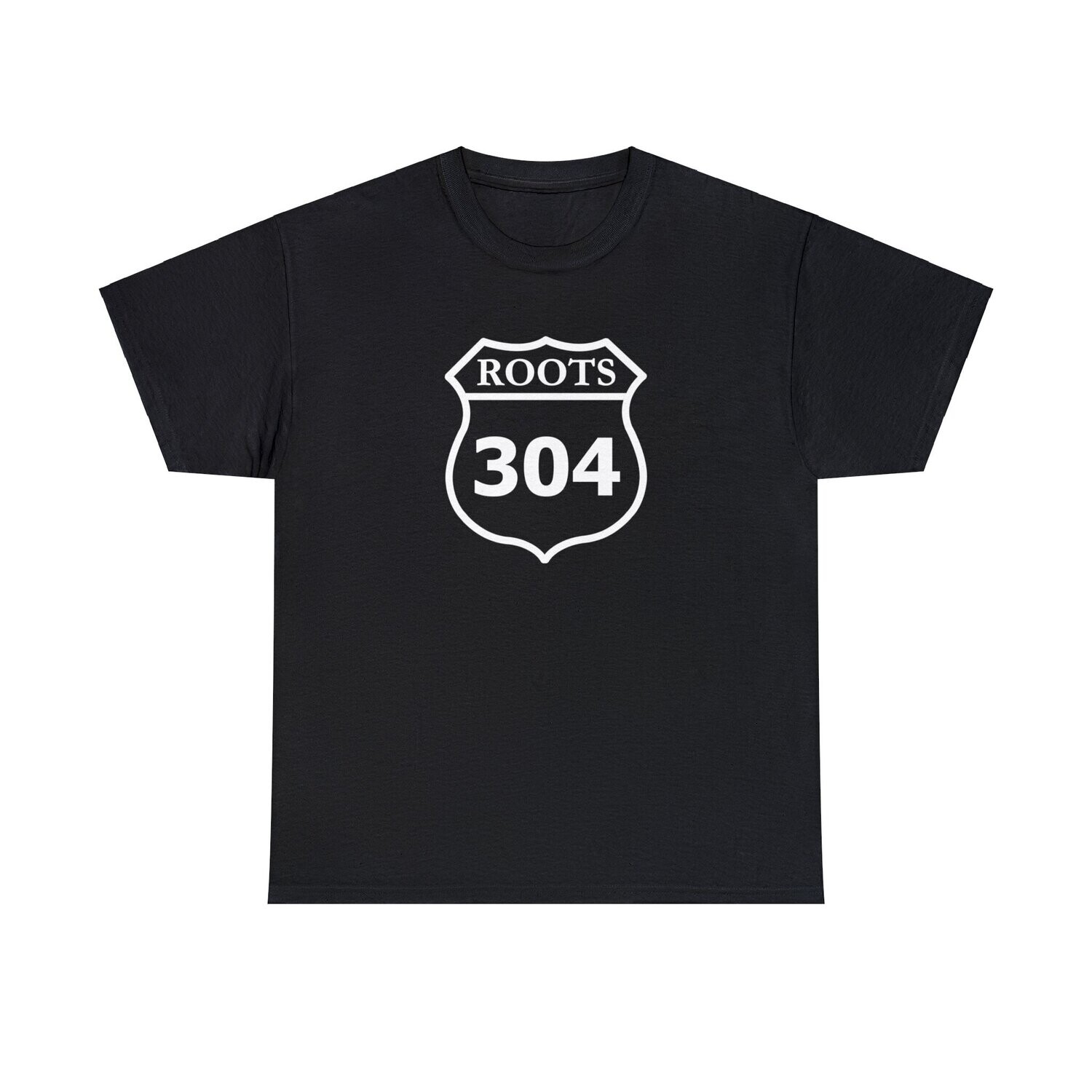 Route 304