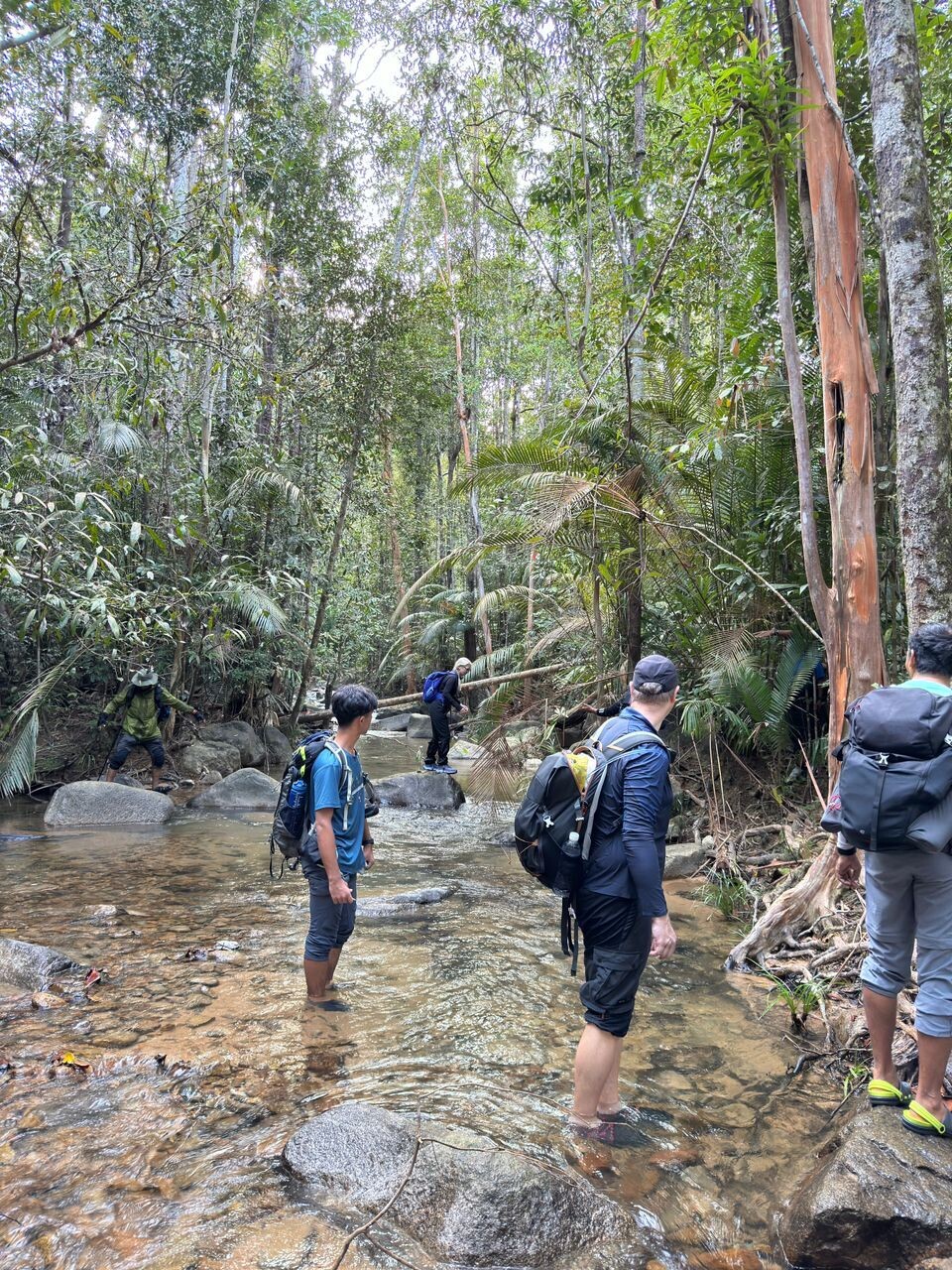 Gunung Chemendong Day Trek (Difficulty - Medium)